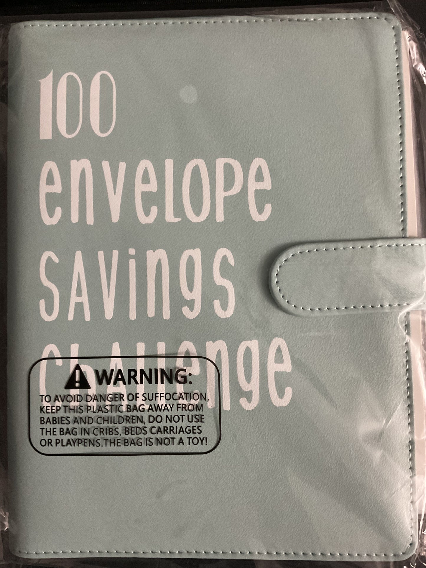 100 Envelopes Savings Challenge Binder.