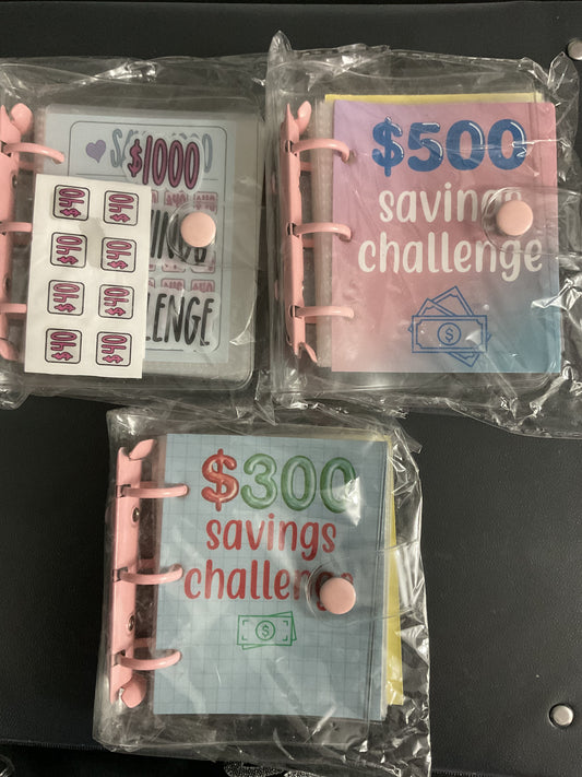 Small Savings Challenge Binders